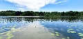 Darßtour im Juni-35